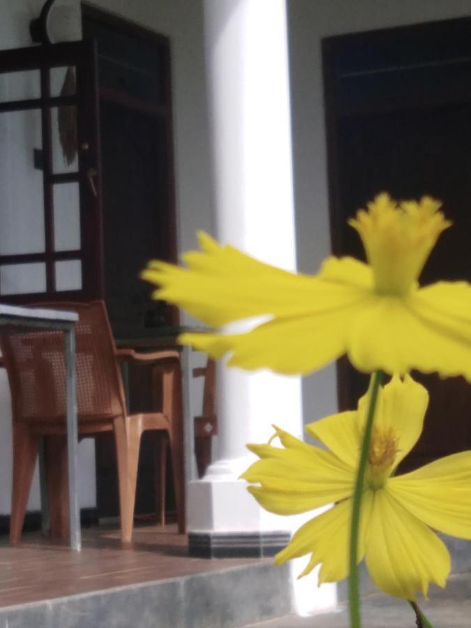 Field Island Villa - آهانغاما المظهر الخارجي الصورة